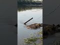 THE MOMENT OF THE APPEARANCE OF THE T-34 TANK FROM THE RIVER / WWII METAL DETECTING