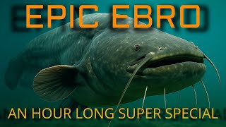 SUMMER TIME MADNESS! Epic Monster Catfishing battles on the River Ebro with Nick Shattock