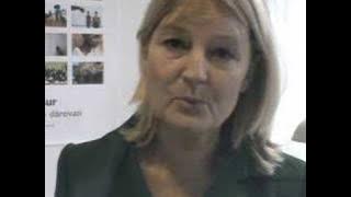 Marita Ulvskog om moderaternas partistämma 2007