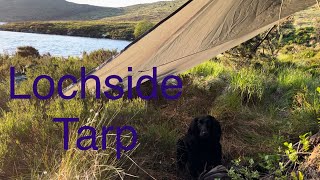 Lochside Tarp camping with my dog (No Talking)