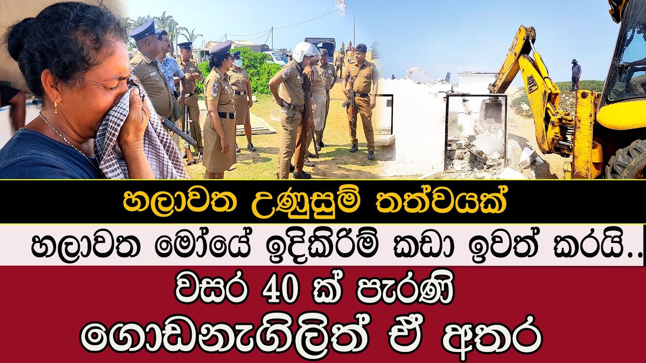 හලාවත උණුසුම් තත්වයක් #mojonewslk #trending #chilaw #fish