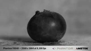 Phantom T4040 Salt Gun Slowmo