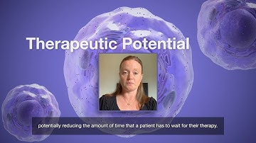 Grow enough NK cells for your cell therapy development-Connect to Science Innovation Insights series