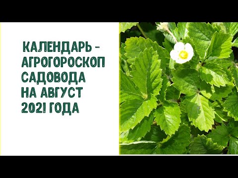 Видео: Ашигт малтмалын бордоо ба ургамлын өсөлтийг зохицуулагч Zeba®, Kornevin®, Emistim®