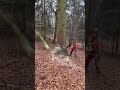 #500i #tree #fichte #wald #forst #chainsaw #stihl #milwaukee #forstreichtr27