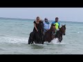 Прогулки на лошадях с купанием в море с HORSERIDING HURGHADA