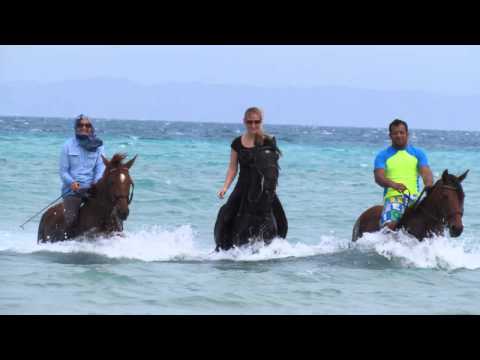 Прогулки на лошадях с купанием в море с HORSERIDING HURGHADA