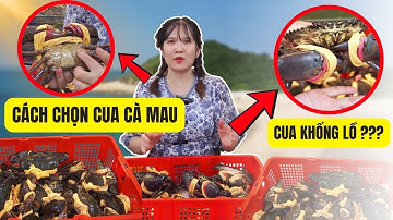 CÁCH PHÂN BIỆT VÀ CHỌN CUA BIỂN CÀ MAU NGON, CHẮC THỊT