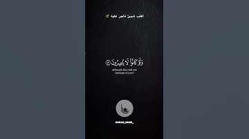 القارئ عبد الرحمن مسعد #مصر #الجزائر #السعودية #اليمن #فلسطين #المغرب #ليبيا #اذكر_الله #تلاوات