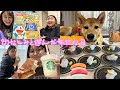 【Vlog】幼なじみと遊んだ小学生の休日みたいな1日。