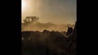 Slim Dusty&#39;s, The Retired Drover,  Instrumental Recorded by Ray