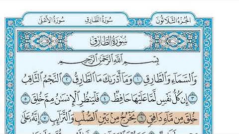 سورة الطارق الشيخ جزاع الصويلح المصحف المعلم