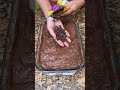 Double Chocolate Cake!