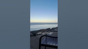 سورة النساء الآية 148
