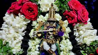 My Home Deity Sri Srinivasa Perumal Pagal Pathu Day 2