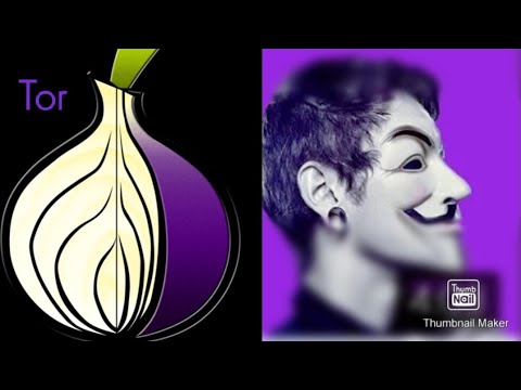 best tor browser for tor best tor browser for tor