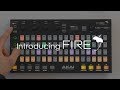 FL STUDIO FIRE | Introducing Akai FIRE