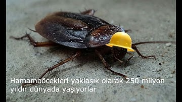 İŞİNİZE YARIYABİLİR 25 BİLGİ