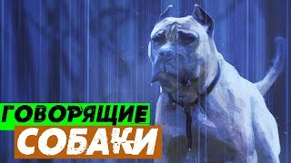 ГОВОРЯЩИЕ СОБАКИ. КАК ЭТО БЫЛО? ГОВОРЯЩИЕ СОБАКИ. КАК ЭТО БЫЛО?
