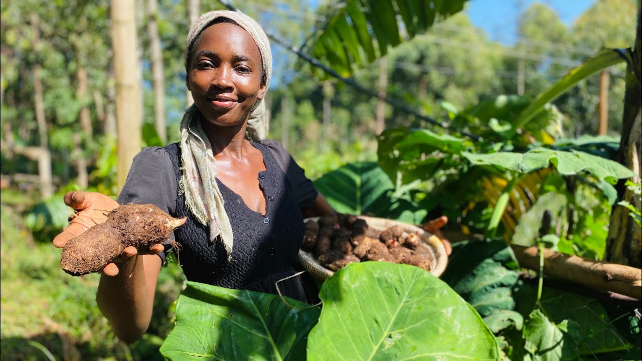 Вот как выглядит настоящее богатство! | Медленная жизнь в кенийской деревне