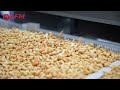 Cashew roasting and seasoning line spicy cashew nuts production line