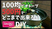 メダカを100均サラダボウルで作ったビオトープで室内飼育diy Japanese Medaka Youtube メダカを100均サラダボウルで作ったビオトープで室内飼育diy Japanese Medaka Youtube