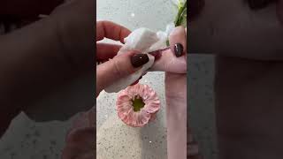 How to pipe a buttercream Poppy