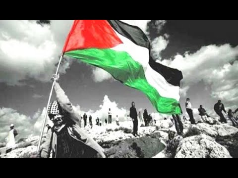 أصبح عندي الان بندقية عمل لن يتكرر لقاء العمالقة نزار قباني محمد عبد الوهاب السيدة أم كلثوم