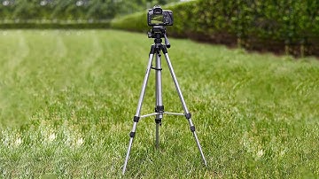 Amazon Basics Camera Mount Tripod Review - Best Budget Option?