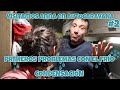 Primeros problemas con el frío en la AUTOCARAVANA 🚍❄️Visitamos Anna cap.#2