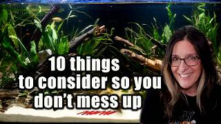 10 Things To Consider Before Setting Up Any Tank
