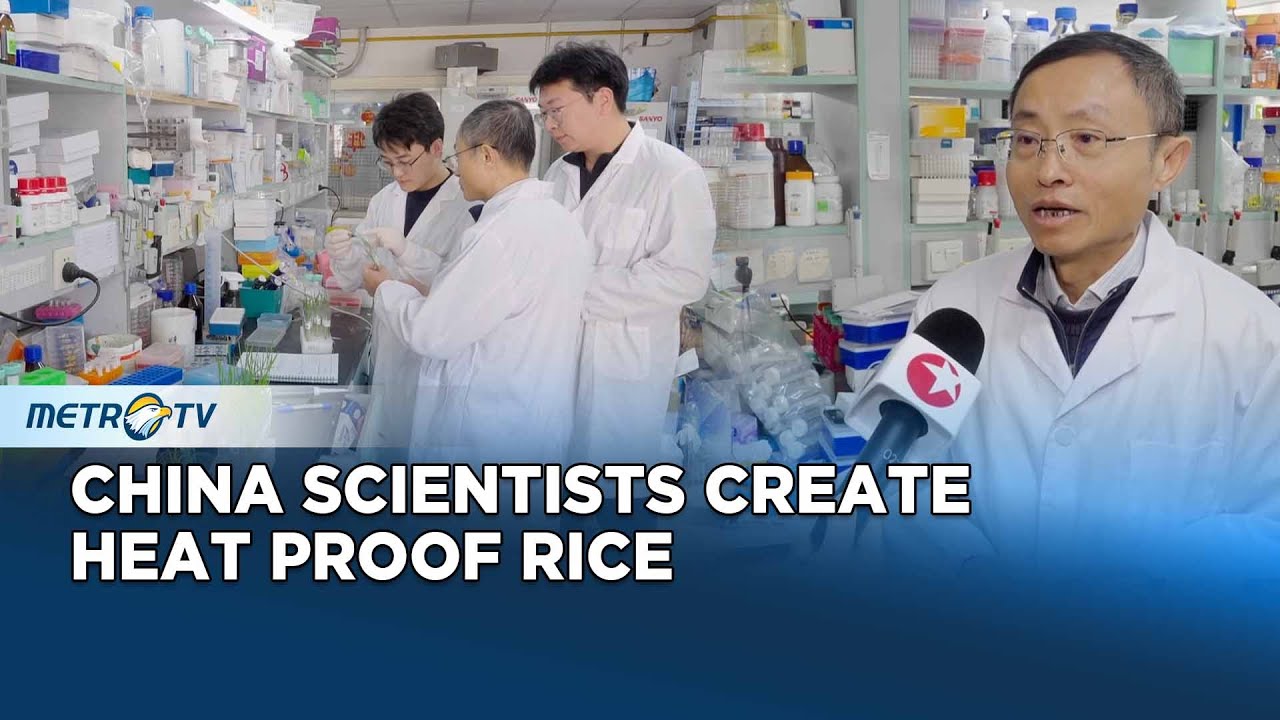Chinese Scientists Develop Heat Resistant Rice to Fight Climate Change ...
