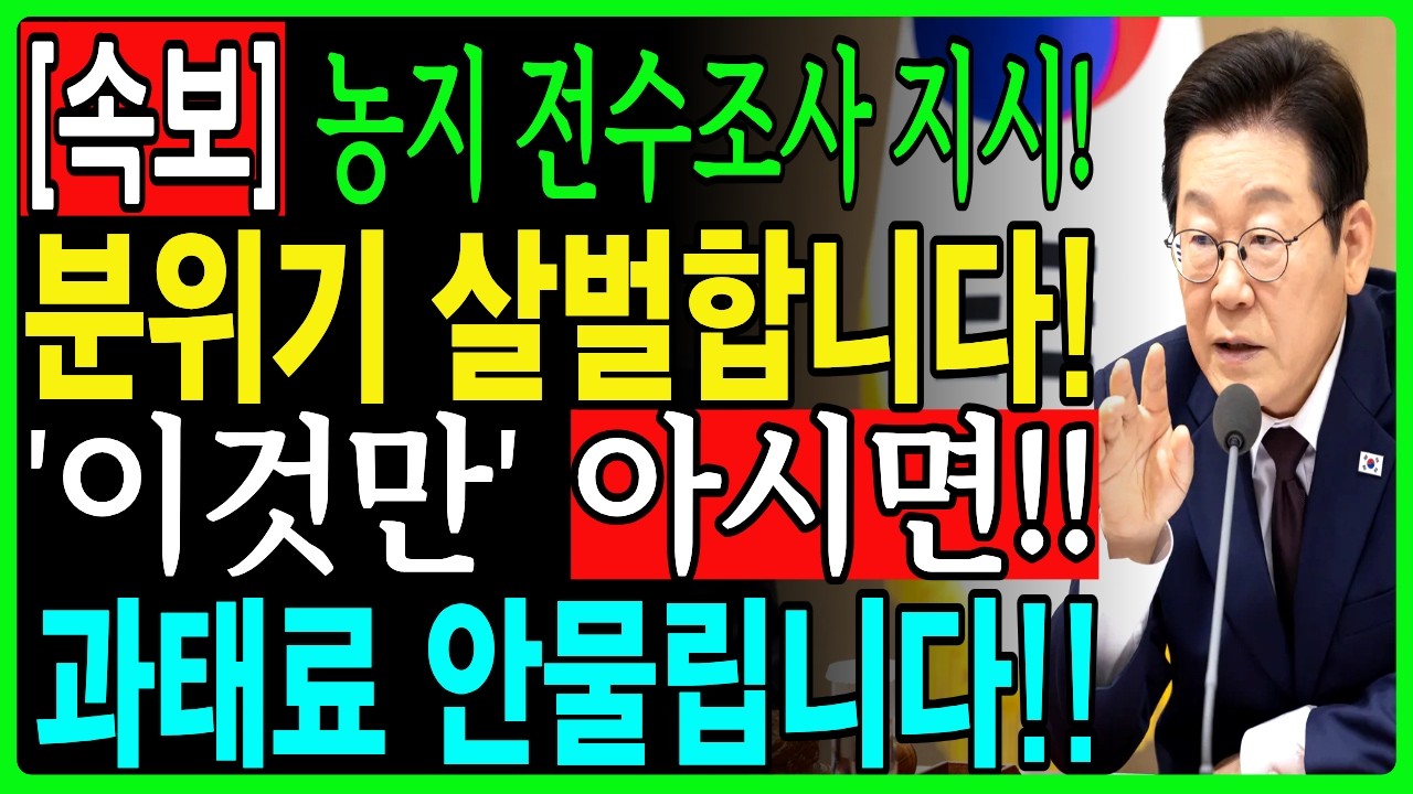 시골 현장 농지 전수 조사 실태! 지시 이후 달라진 분위기 속 기회 포착법