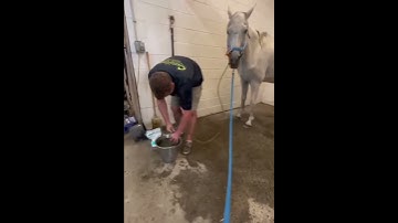 please donating to our PayPal link in bio on our Instagram for support please #donate