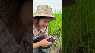 EP.2 ติดกล้องส่องชีวิตสัตว์ ติดกล้องให้ตะขาบ ไปดูกันหนึ่ง...