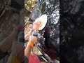 rabbing polishing a car 🚗