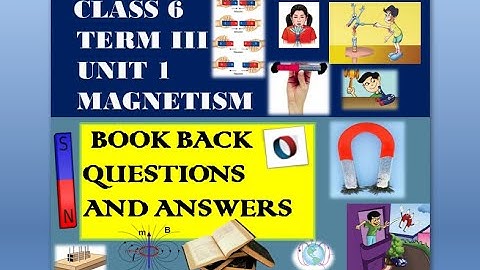 CLASS 6,TERM 3,UNIT 1, MAGNETISM |BOOK BACK QUESTIONS AND ANSWERS|@Splendiferous Science