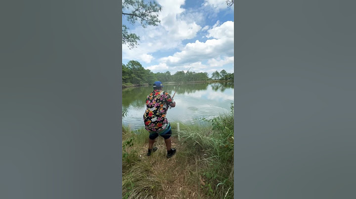 Sacando un pequeño, monstruo                              En este hermoso, lago... 🤩 #fishing