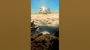 القارئ رعد الكردي سورة التغابن الآية ١١