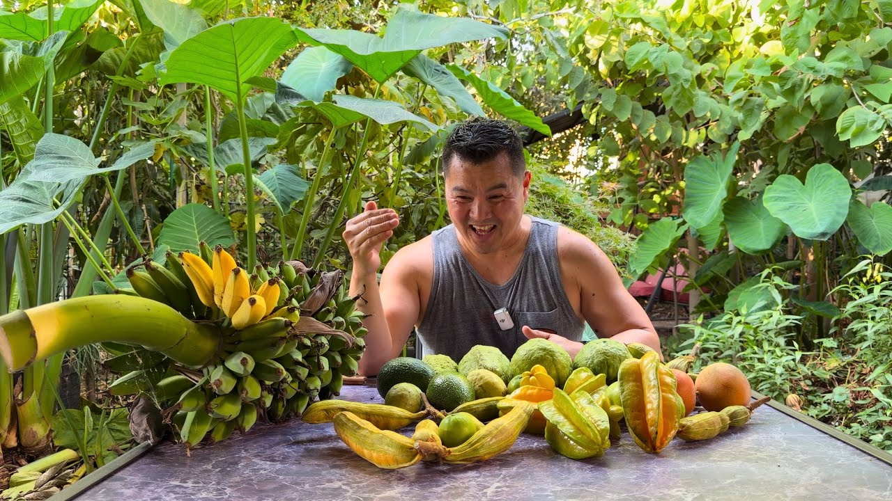 Тропические фрукты на заднем дворе Центральной долины Калифорнии