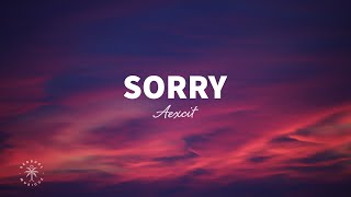 Aexcit - Sorry (Lyrics) Resimi