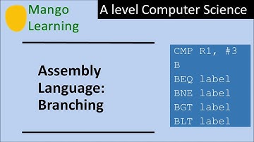 Assembly Language Branching