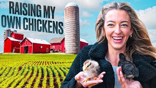 Is It Worth It To Raise Your Own Chickens For Eggs?