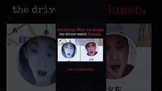 Uncanny Chinese uber drivers