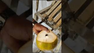Tender Coconut Punching & Cutting Machine - Manual