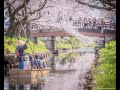 4K Spring in Japan / Top 100 Photo Spots of Japan 2020 / Tokyo Camera Club