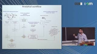 Pasquale Laise: "Deciphering the Polycomb-dependent regulatory networks in gliomagenesis" Content