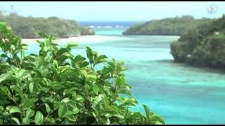 Peter White - Stormfront