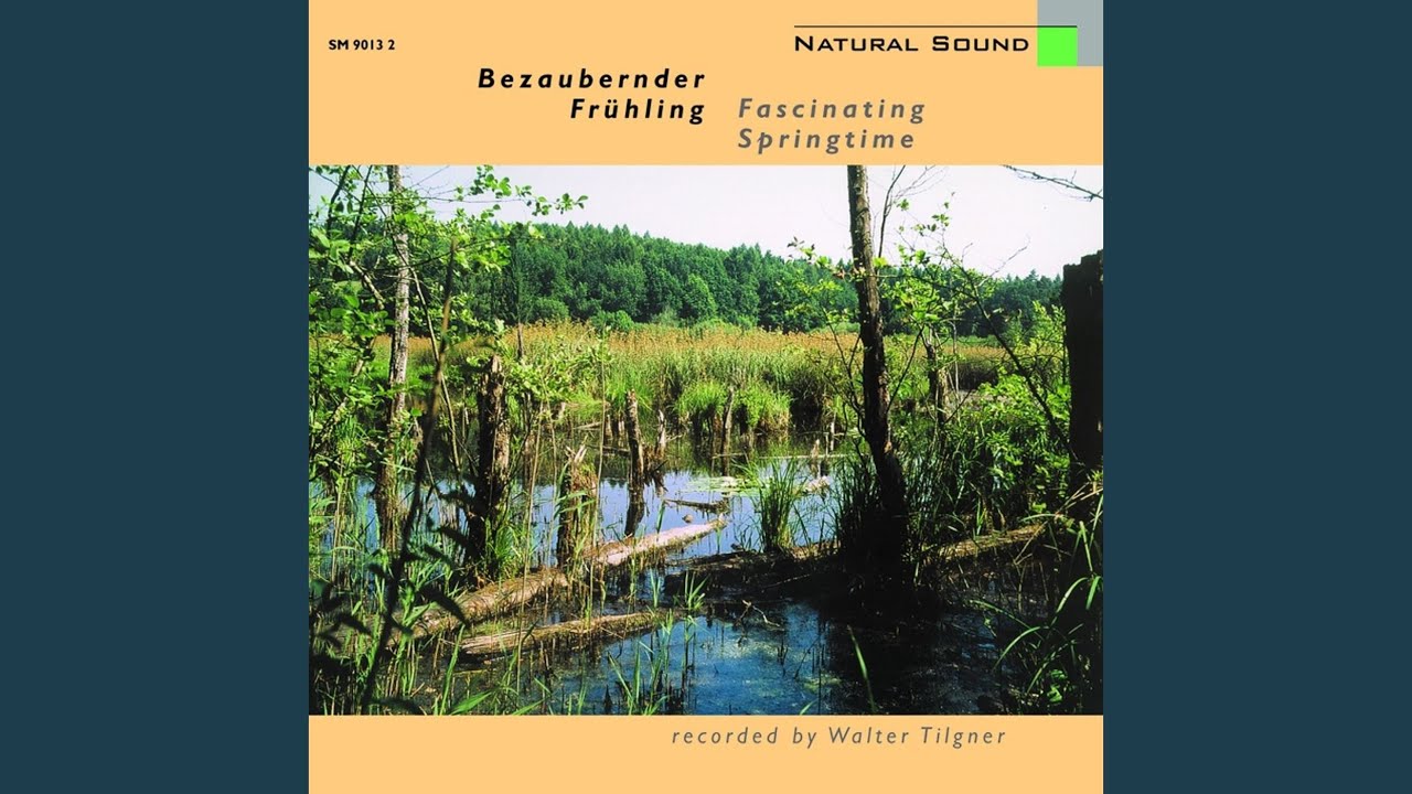 Obejrzyj Kuckuck w YouTube Obejrzyj Kuckuck w YouTube