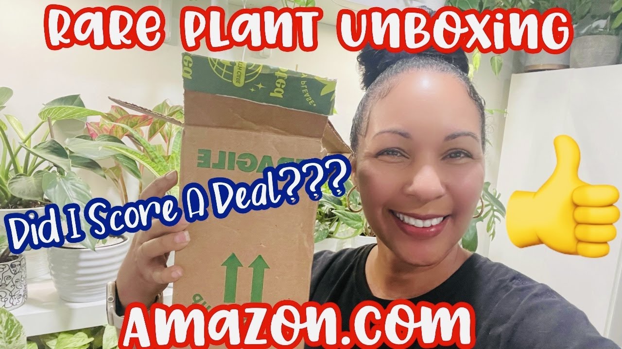 Rare Plant Unboxing Amazon Rooted Did I Score A Deal rare-plant-unboxing-amazon-rooted-did-i-score-a-deal